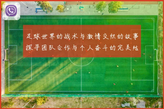 足球世界的战术与激情交织的故事探寻团队合作与个人奋斗的完美结合