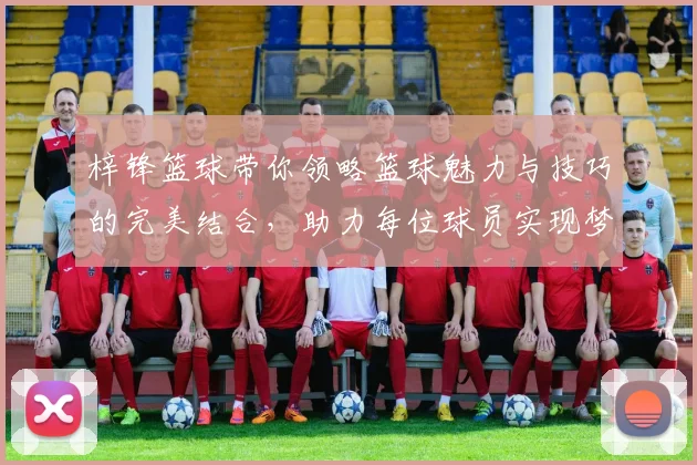梓锋篮球带你领略篮球魅力与技巧的完美结合，助力每位球员实现梦想