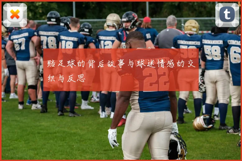 赔足球的背后故事与球迷情感的交织与反思