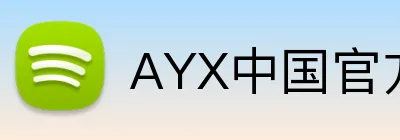 AYX中国官方网站 logo